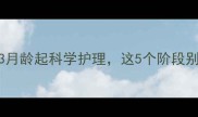 雪拉瑞美容最佳时间3月龄起科学护理这5个阶段别错过宠物养护指南