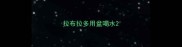 拉布拉多用盆喝水