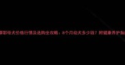 萨摩耶母犬价格行情及选购全攻略8个月幼犬多少钱附健康养护指南