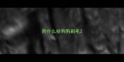 用什么给狗狗剃毛