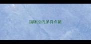 猫咪拉的屎有点稀