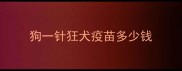 狗一针狂犬疫苗多少钱
