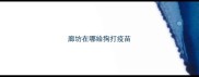 廊坊在哪给狗打疫苗