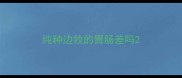 纯种边牧的胃肠差吗