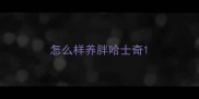 怎么样养胖哈士奇