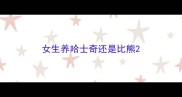 女生养哈士奇还是比熊