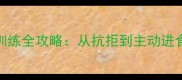 哈士奇拿碗吃饭训练全攻略从抗拒到主动进食的5个科学步骤