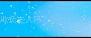 哈士奇真的会欺负主人吗资深训犬师正确饲养指南