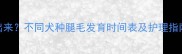 狗狗腿毛什么时候长出来不同犬种腿毛发育时间表及护理指南附专业养护方案