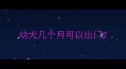幼犬几个月可以出门