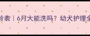 狗狗洗澡月龄表6月大能洗吗幼犬护理全攻略来啦