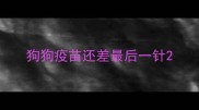狗狗疫苗还差最后一针