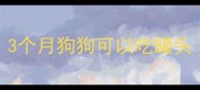 3个月狗狗可以吃罐头