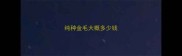 纯种金毛大概多少钱
