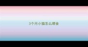 3个月小猫怎么喂食