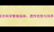 哈士奇母犬科学繁殖指南遗传优势与饲养要点全