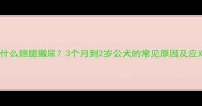 狗狗为什么翘腿撒尿3个月到2岁公犬的常见原因及应对措施