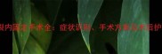 猫咪肋骨断裂内固定手术全症状识别手术方案及术后护理专业指南