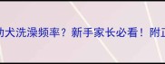两个月金毛幼犬洗澡频率新手家长必看附正确护理指南