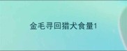 金毛寻回猎犬食量