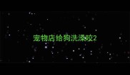 宠物店给狗洗澡咬