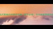 泰迪犬繁殖后护理全攻略新手必看母犬恢复期避坑指南