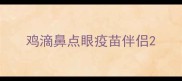鸡滴鼻点眼疫苗伴侣