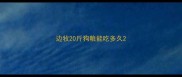 边牧20斤狗粮能吃多久