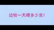 边牧一天喂多少克