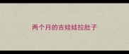 两个月的吉娃娃拉肚子