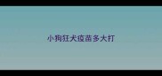 小狗狂犬疫苗多大打