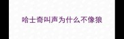 哈士奇叫声为什么不像狼