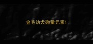 金毛幼犬微量元素