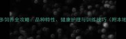 恩施拉布拉多饲养全攻略品种特性健康护理与训练技巧附本地犬舍推荐