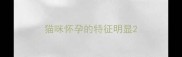 猫咪怀孕的特征明显