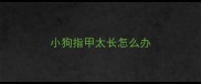 小狗指甲太长怎么办