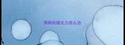 狗狗后腿无力怎么治