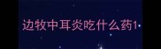 边牧中耳炎吃什么药