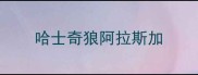 哈士奇狼阿拉斯加