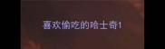 喜欢偷吃的哈士奇