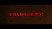 小狗犬瘟热初期症状
