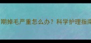 边牧母犬发情期掉毛严重怎么办科学护理指南与应对方案