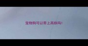 宠物狗可以带上高铁吗