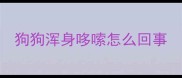 狗狗浑身哆嗦怎么回事