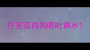 打完疫苗狗呕吐黄水