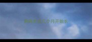 狗狗牙齿几个月开始长