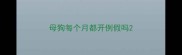 母狗每个月都开例假吗