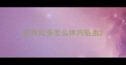 拉布拉多怎么体内驱虫