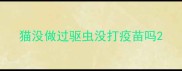 猫没做过驱虫没打疫苗吗