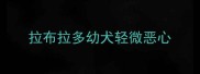 拉布拉多幼犬轻微恶心